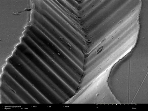 Fotografía al microscopio del surco de un disco de vinilo.